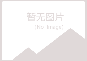 河池凌雪化学有限公司